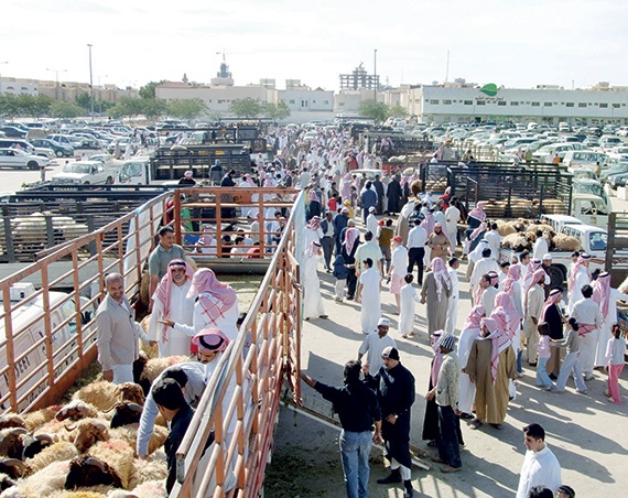 «أمانة الرياض» تتفق مع 7 شركات لتحديد أسعار الأضاحي
