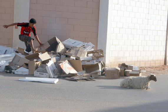 خروف يهرب من إحدى الأسر في الرياض صبيحة يوم العيد