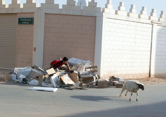 خروف يهرب من إحدى الأسر في الرياض صبيحة يوم العيد