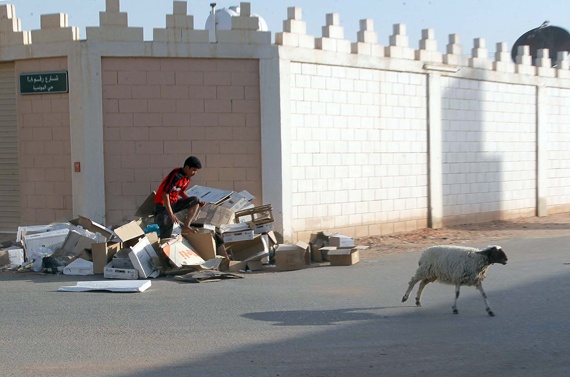 خروف يهرب من إحدى الأسر في الرياض صبيحة يوم العيد