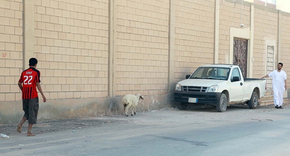 خروف يهرب من إحدى الأسر في الرياض صبيحة يوم العيد