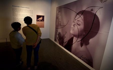 عرض لوحات للرسام الاسباني  بيكاسو  في كوريا الجنوبية