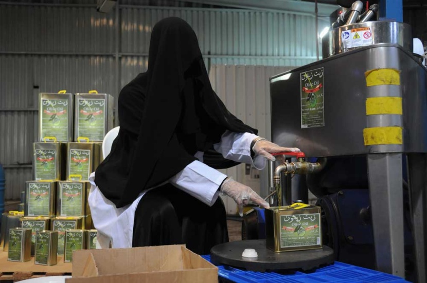 فتيات سعوديات يعملن في مصنع لتعبئة الزيتون في مدينة تبوك