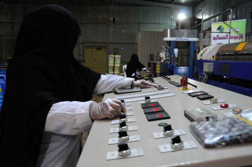 فتيات سعوديات يعملن في مصنع لتعبئة الزيتون في مدينة تبوك
