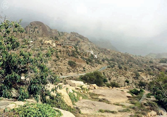 «جبل شدا» .. مأوى النمر العربي النادر وكنوز تاريخية