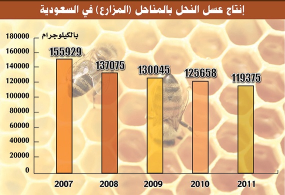 انخفاض الإنتاج المحلي من العسل 26 % خلال 5 سنوات