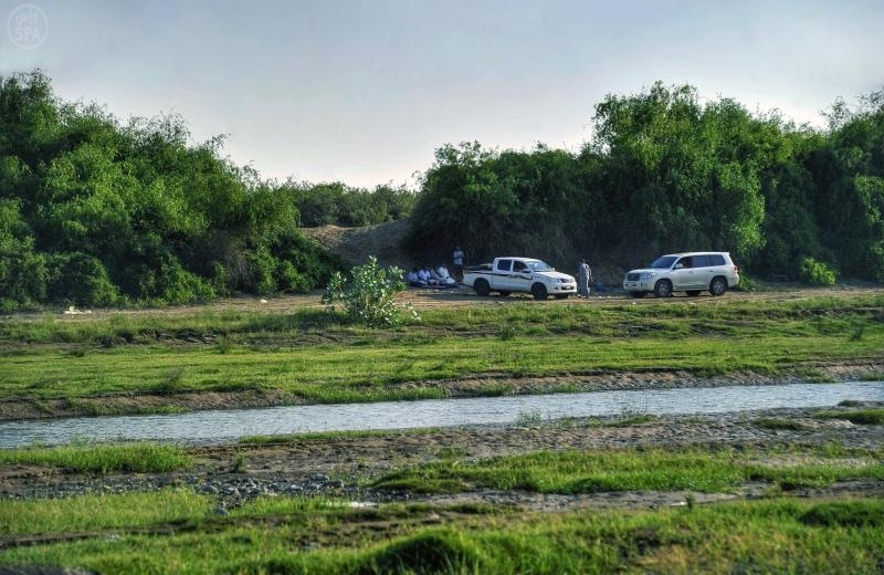 قصة مصورة : وادي عليب في الباحة وجهة عشّاق الطبيعة البكر في الشتاء