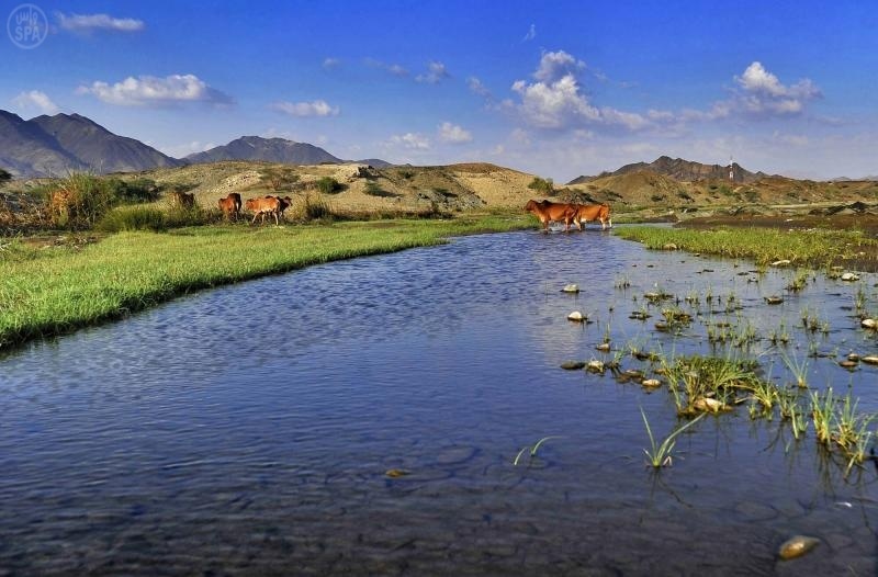 قصة مصورة : وادي عليب في الباحة وجهة عشّاق الطبيعة البكر في الشتاء