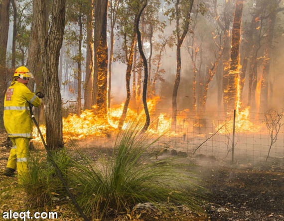 العثور على 4 أشخاص فقدوا بعد اندلاع حرائق الغابات في استراليا