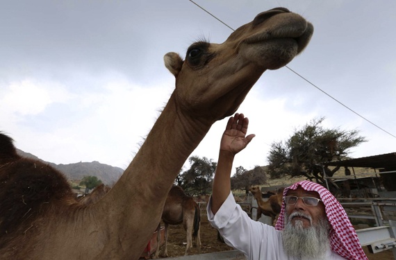قصة مصورة : تحدي تحذيرات "الفيروس"