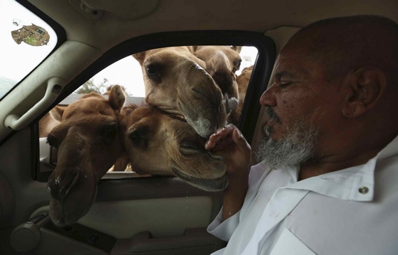 قصة مصورة : تحدي تحذيرات "الفيروس"