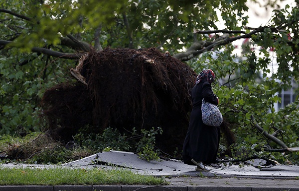 قصة مصورة : عاصفة غرب ألمانيا