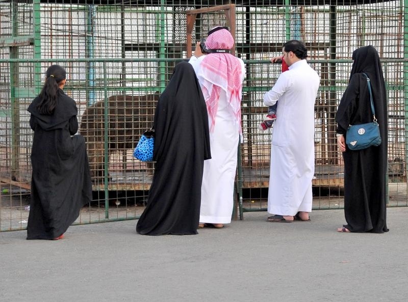 عروض الحيوانات المفترسة النادرة تجذب زوار الباحة