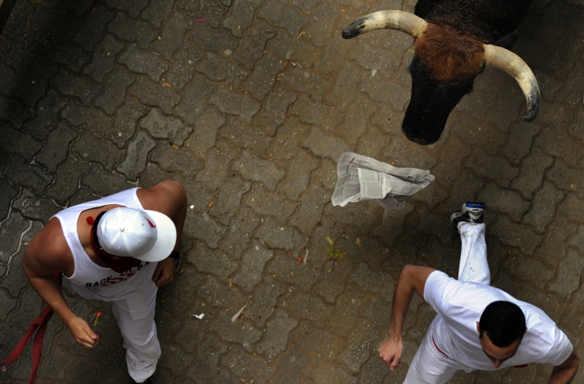 قصة مصورة : انطلاق مهرجان مصارعة الثيران في اسبانيا