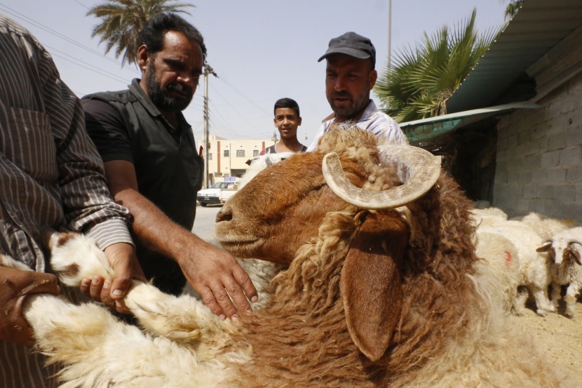قصة مصورة : خروف العيد (4)