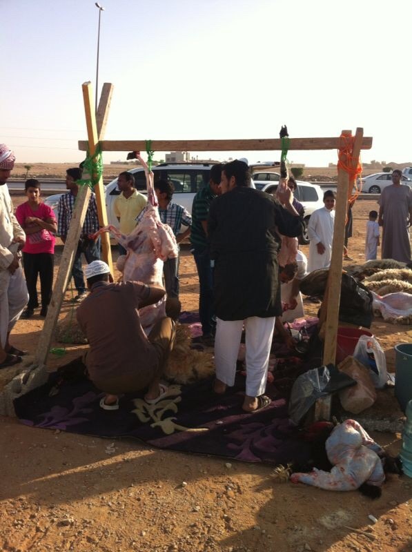 أمانة الرياض تضبط 4 مسالخ عشوائية و3 حظائر اغنام مخالفة شرق العاصمة