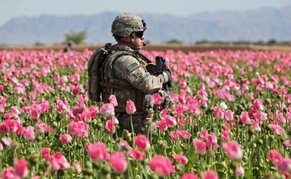 رغم الحملة الأمريكية المكلفة .. تجارة الأفيون تواصل صعودها في أفغانستان