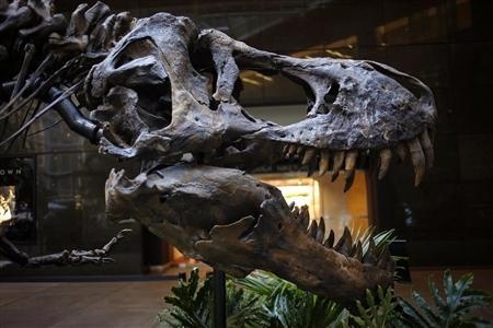 فريق بحث عالمي يحل لغز ديناصورات "داينوكيروس" الأكثر غموضا