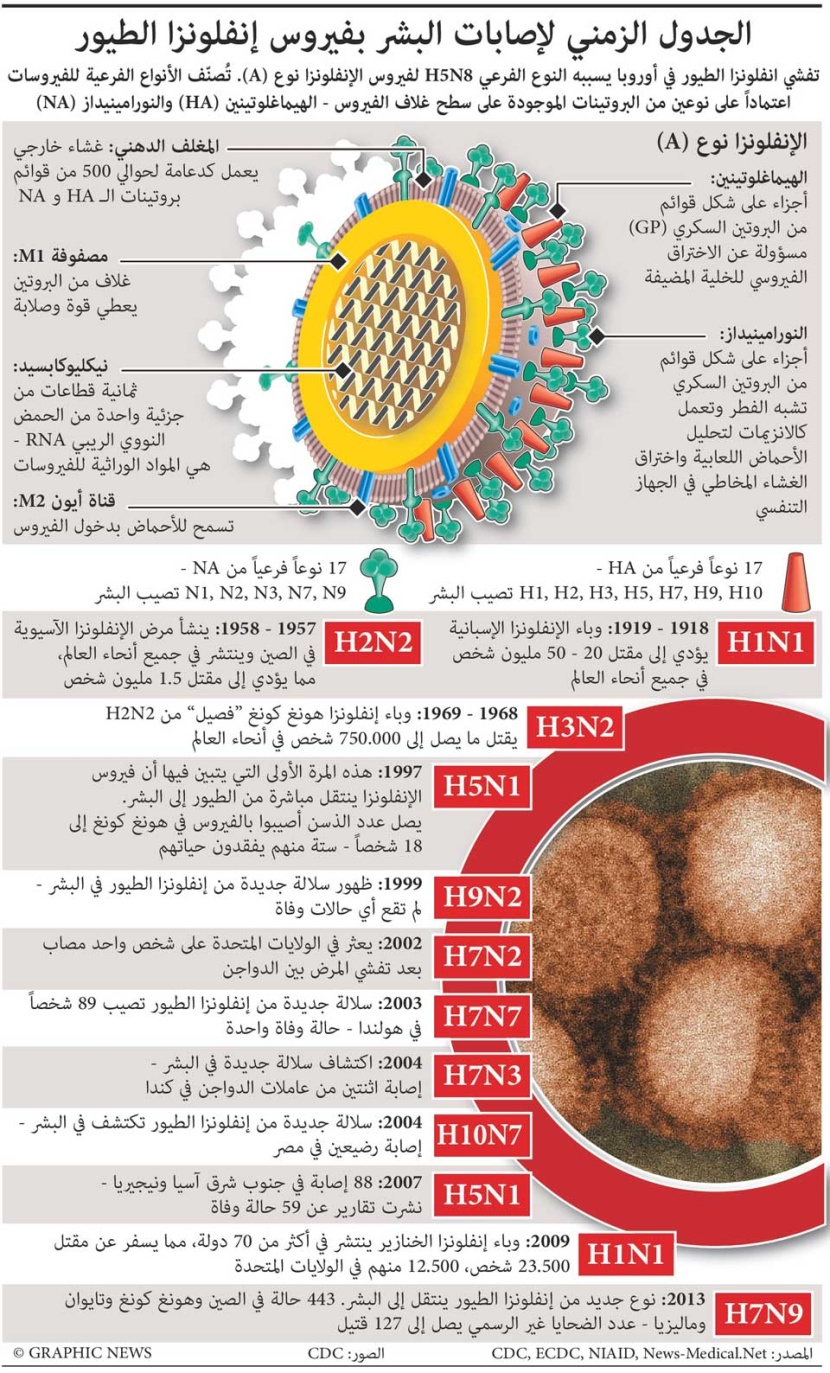 الجدول الزمني لإصابات البشر بفيروس إنفلونزا الطيور