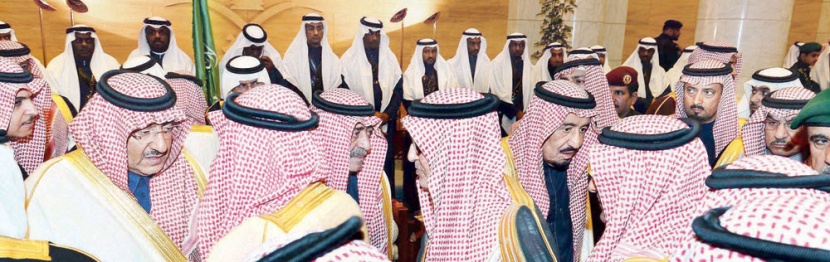 كلنا سلمان