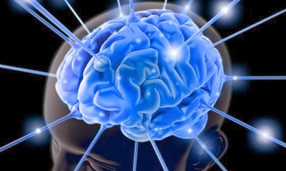 علماء : المخ يربط الأرقام الكبيرة بشقه الأيمن والصغيرة بالشق الأيسر