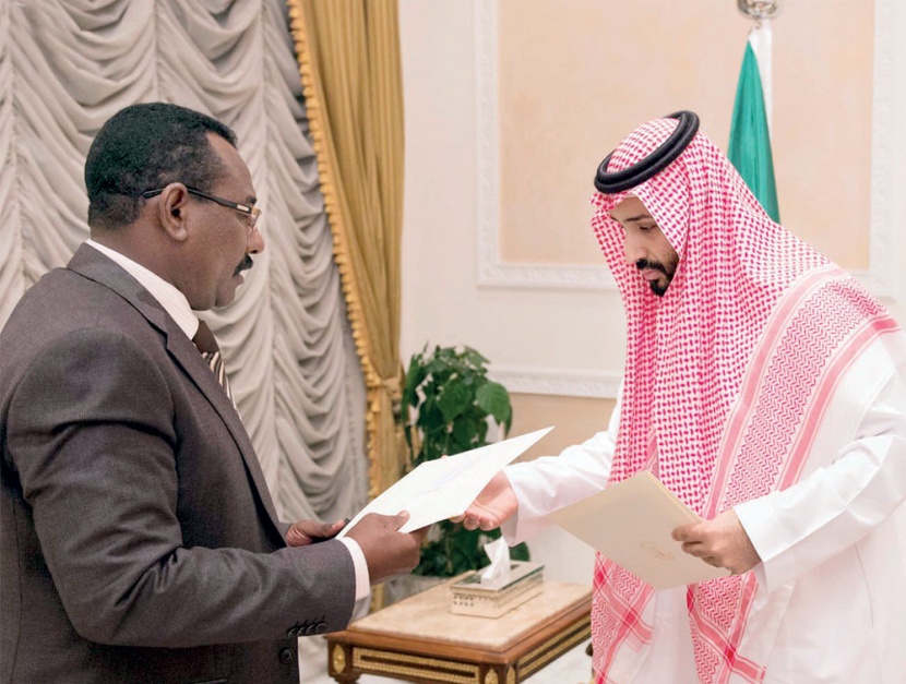 وزير الدفاع يبحث مشاركة السودان وباكستان وماليزيا في «عاصفة الحزم»