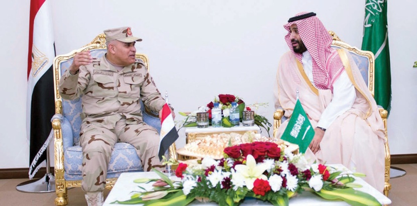 وزير الدفاع يناقش مع نظيره المصري مشاركة بلاده في تحالف «العاصفة»