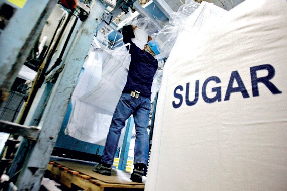 مصر تخطر منظمة التجارة  بإجراء تحقيقات بشأن واردات السكر الأبيض