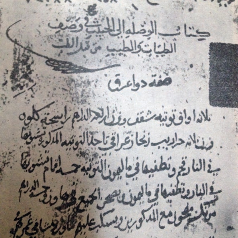الوصلة إلى الحبيب