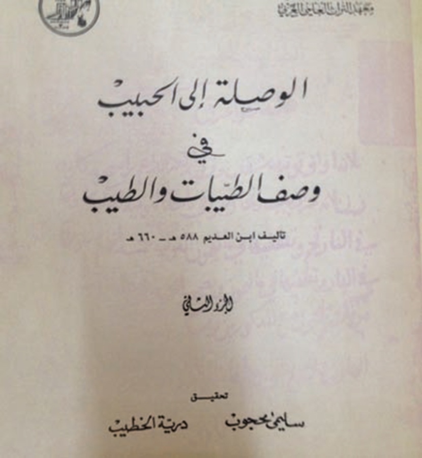 الوصلة إلى الحبيب
