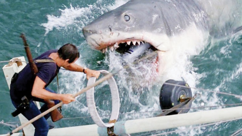 «الفك المفترس» .. فيلم سينمائي يشوه سمعة سمك القرش لـ 40 عاما