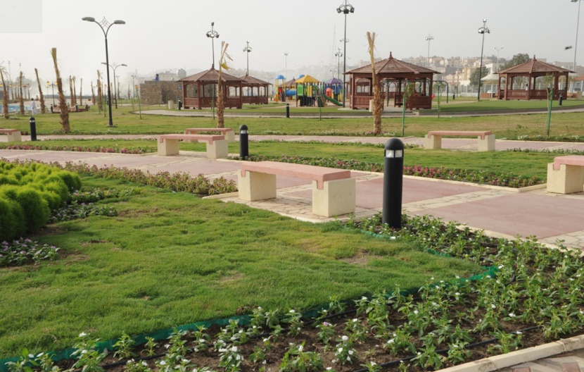 المسطحات الخضراء في الطائف تتجاوز 7 ملايين متر مربع