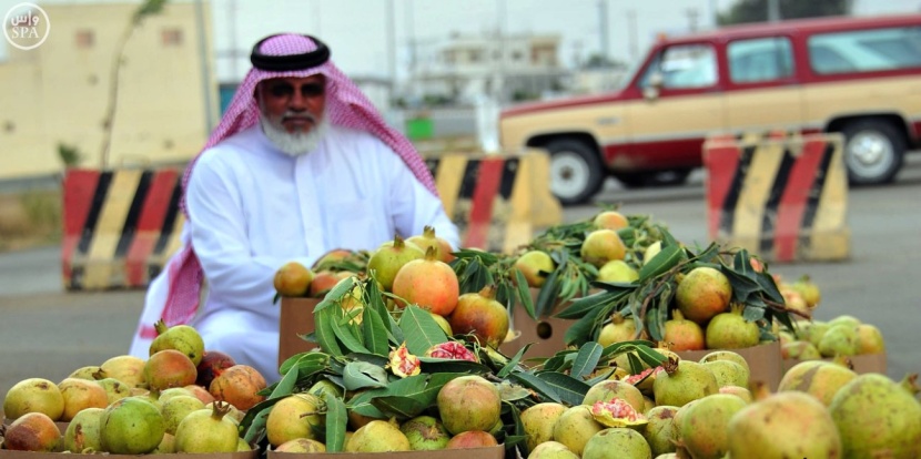 مزارع الباحة تنتج أكثر من 10 أطنان من الرمان