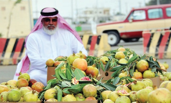 مزارع الباحة تنتج أكثر من 10 أطنان من فاكهة الرمان