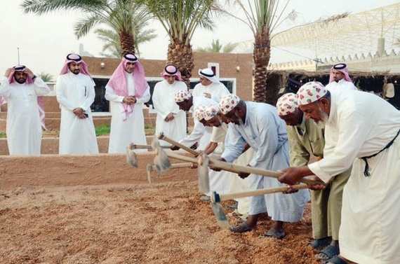 «حرث الأرض» فقرة قدمها مزارعو بريدة نالت تفاعل الزوار