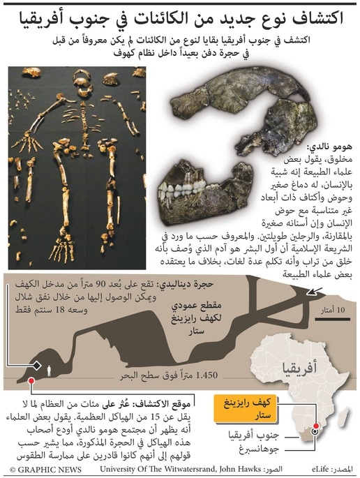 العثور على نوع جديد من الكائنات