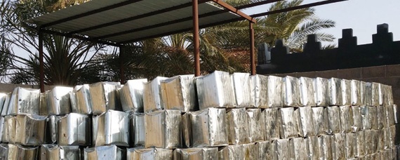 «الحشية» .. عادة قديمة لكنز التمور 
في وادي الدواسر