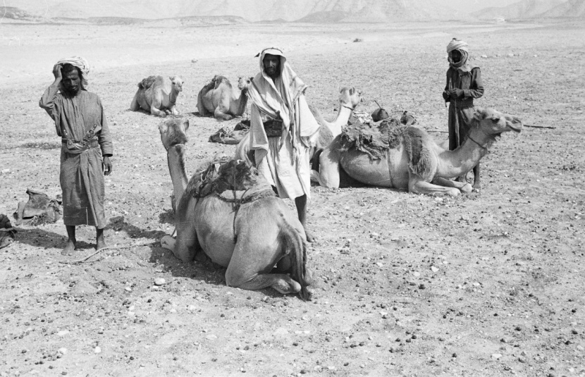 الخاوة وقطع الخشوم