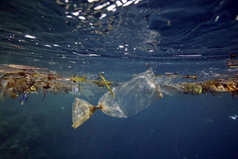 أزمة البلاستيك تطارد العالم.. 12 مليار طن تهدد البيئة والبشرية