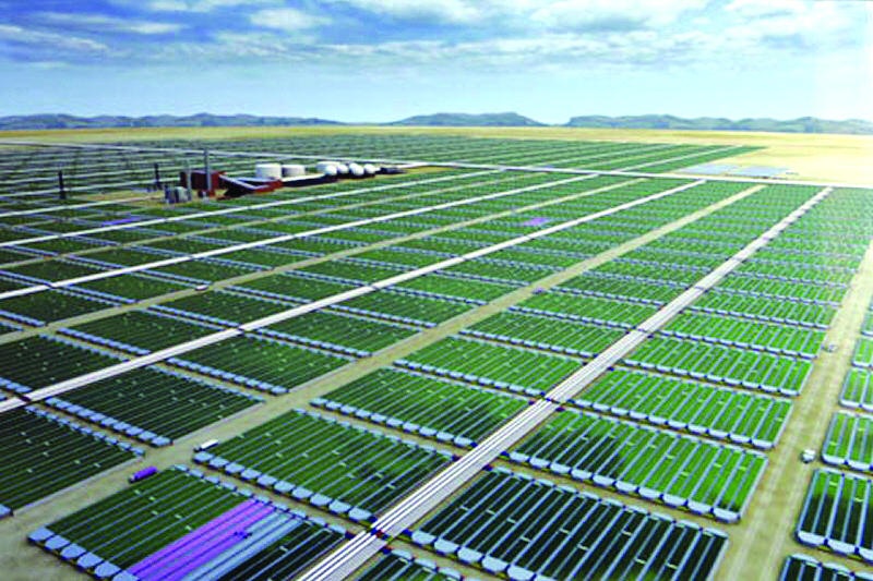 خطة حكومية لتطوير تقنيات إنتاج الطحالب قادرة على توفير 50 ألف طن سنويا