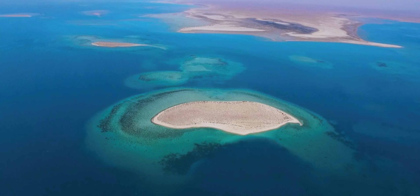 مشروع البحر الأحمر.. "الوجه" العالمي للسياحة السعودية