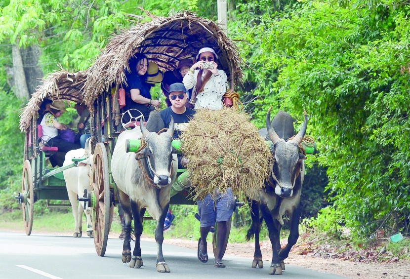  سياح على عربة في سريلانكا