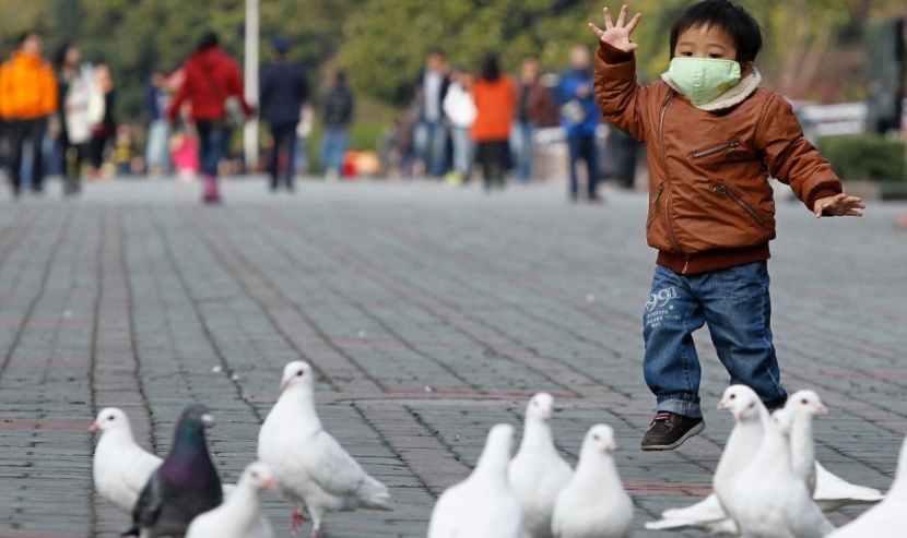  الصين تؤكد انتشار انفلونزا الطيور في مزارع دواجن في أحد أقاليمها