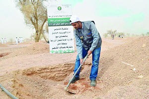 «السعودية للكهرباء» تشارك في مبادرة زراعة 4 ملايين شجرة .. وتدشين «غابة شار» في حائل