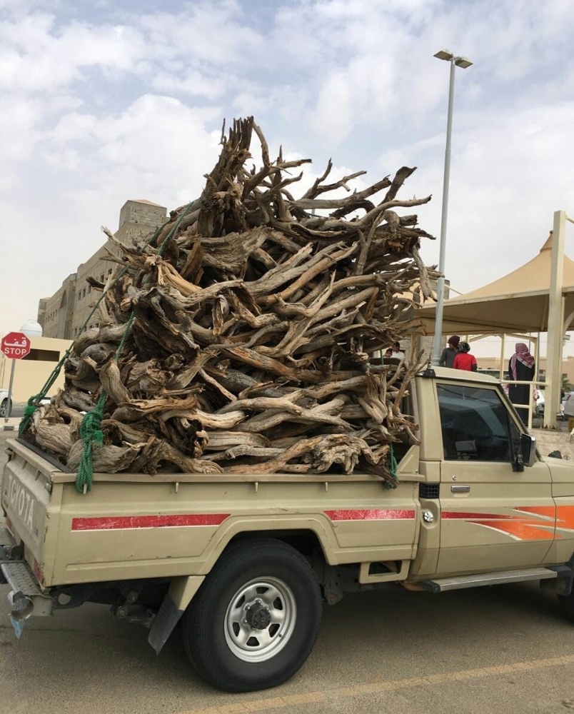 زراعة الرياض بالتعاون مع الدوريات الأمنية تضبط 48 طن من الحطب خلال أسبوع 