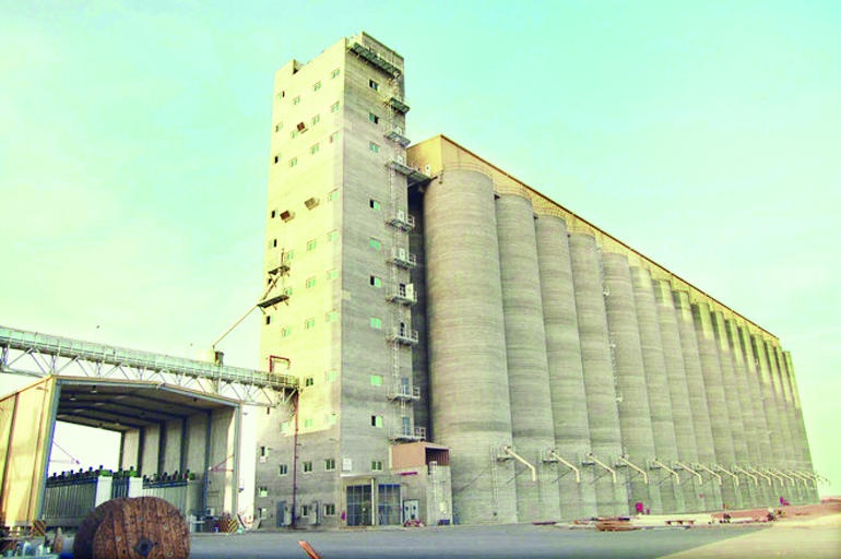 «الحبوب» تطرح مناقصة لاستيراد 480 ألف طن قمح