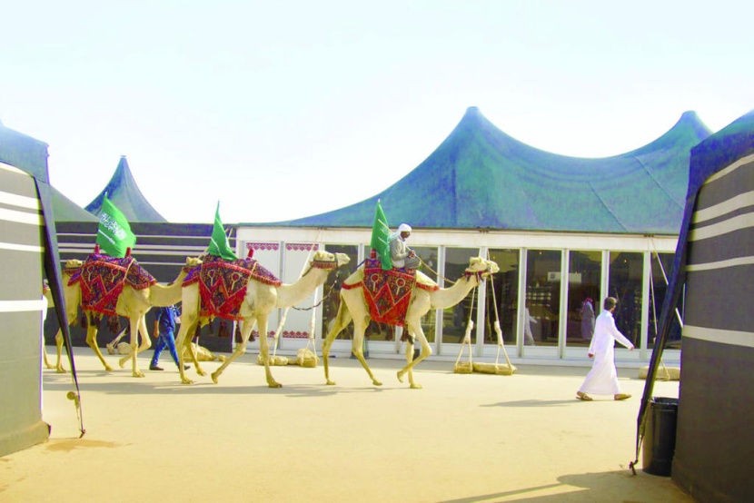 يناير المقبل .. انطلاق مهرجان الملك عبد العزيز
للإبل الأطول عالميا