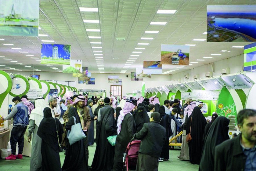 مهرجان الزيتون بالجوف يحقق مكاسب بأكثر من 4 ملايين ريال