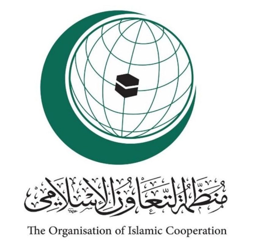 منظمة التعاون الإسلامي تعقد اجتماع وزاري لبحث إطلاق الحوثي صاروخ باليستي على الرياض