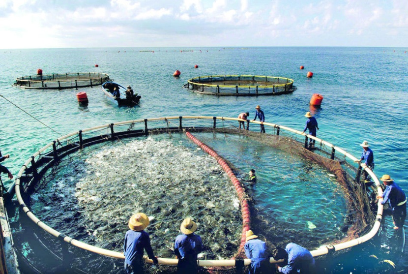ارتفاع درجات الحرارة يقلل إنتاج مصائد الأسماك 20 %